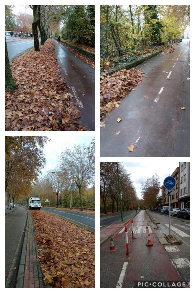 aceras bici limpias de hojas