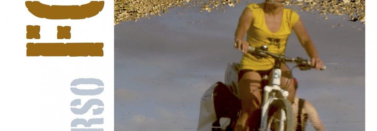 cartel iii concurso foto