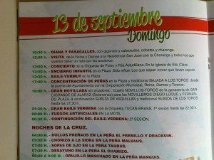 programafiestasastudillo 2015