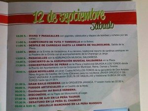 programafiestasastudillo 2015