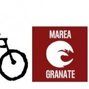 A votar en bici. Marea granate