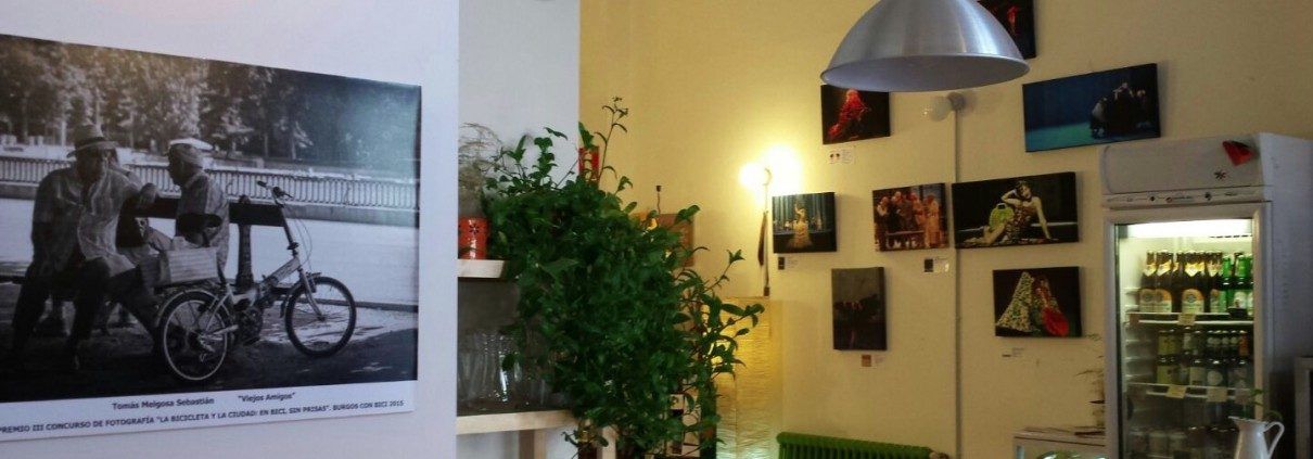 Exposición de fotografías