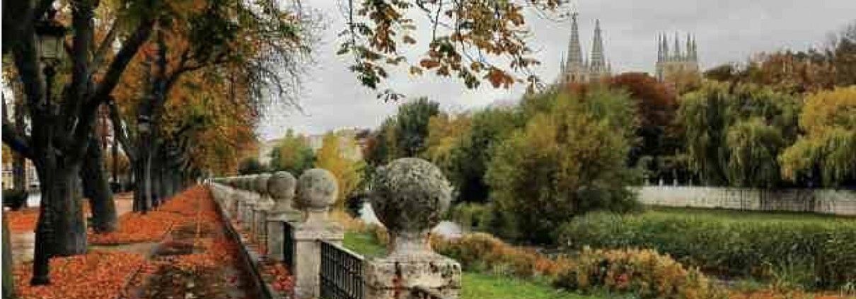 Acera bici del esploncillo, humead con hojas.